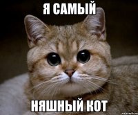 я самый няшный кот