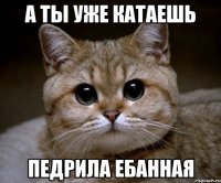 А ты уже катаешь Педрила ебанная