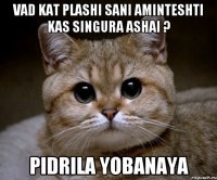 vad kat plashi sani aminteshti kas singura ashai ? pidrila yobanaya