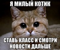 Я МИЛЫЙ КОТИК СТАВЬ КЛАСС И СМОТРИ НОВОСТИ ДАЛЬШЕ