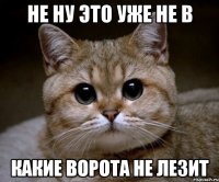 НЕ НУ ЭТО УЖЕ НЕ В КАКИЕ ВОРОТА НЕ ЛЕЗИТ