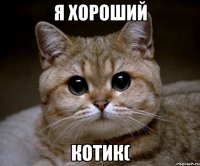 я хороший котик(