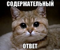 Содержательный Ответ