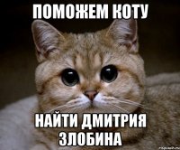 Поможем коту найти Дмитрия Злобина