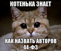 котенька знает как назвать авторов 44-фз