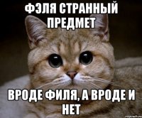 Фэля странный предмет Вроде филя, а вроде и нет