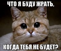 что я буду жрать, когда тебя не будет?