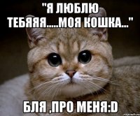 "Я люблю тебяяя.....моя кошка..." Бля ,про меня:D