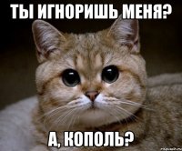 Ты игноришь меня? А, кополь?