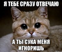 Я ТЕБЕ СРАЗУ ОТВЕЧАЮ А ТЫ СУКА МЕНЯ ИГНОРИШЬ