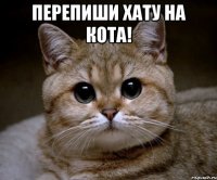 Перепиши хату на кота! 