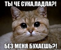 Ты че сука,падла?! Без меня бухаешь?!