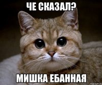 Че сказал? Мишка ебанная