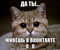 да ты... живёшь в ВКонтакте О_о