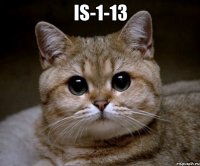 IS-1-13 