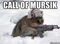 call of Mursik 