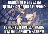 Даня, что мы будем делать сегодня вечером? Тоже что и всегда, Паша, будем фармить Хазиру!