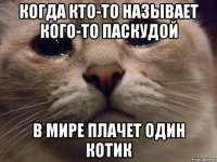 Когда кто-то называет кого-то паскудой В мире плачет один котик