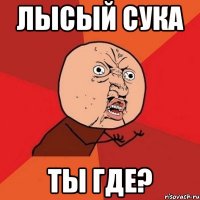 Лысый сука Ты где?