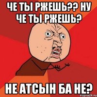 Че ты ржешь?? ну че ты ржешь? Не атсын ба не?