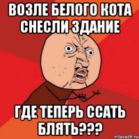 возле белого кота снесли здание где теперь ссать блять???