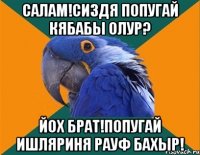 САЛАМ!СИЗДЯ ПОПУГАЙ КЯБАБЫ ОЛУР? ЙОХ БРАТ!ПОПУГАЙ ИШЛЯРИНЯ РАУФ БАХЫР!