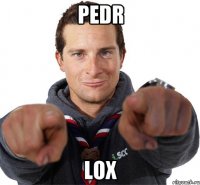 Pedr Lox