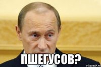  Пшегусов?