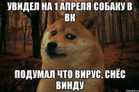 Увидел на 1 апреля собаку в ВК подумал что вирус, снёс винду