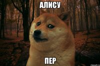 Алису пер