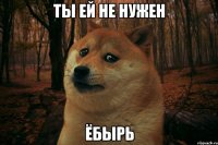 Ты ей не нужен ёбырь