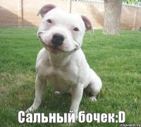 Сальный бочек:D