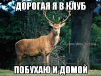 ДОРОГАЯ Я В КЛУБ ПОБУХАЮ И ДОМОЙ