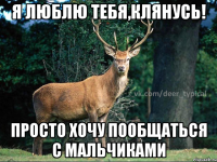 Я люблю тебя,клянусь! Просто хочу пообщаться с мальчиками