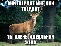Они твердят мне, они твердят Ты олень, идеальная жена