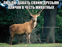 ЛЮБЛЮ ДАВАТЬ СВОИМ ДРУЗЬЯМ КЛИЧКИ В ЧЕСТЬ ЖИВОТНЫХ 