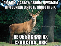 ЛЮБЛЮ ДАВАТЬ СВОИМ ДРУЗЬЯМ ПРОЗВИЩА В ЧЕСТЬ ЖИВОТНЫХ, НЕ ОБЪЯСНЯЯ ИХ СХОДСТВА , ККК