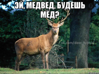 Эй, медвед, будешь мёд? 
