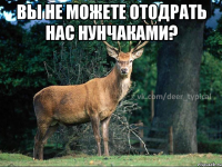вы не можете отодрать нас нунчаками? 