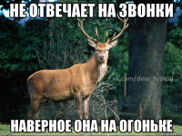 не отвечает на звонки наверное она на огоньке