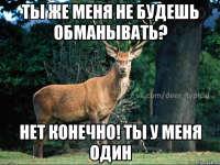 ты же меня не будешь обманывать? Нет конечно! ты у меня один
