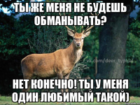 ты же меня не будешь обманывать? Нет конечно! ты у меня один любимый такой)