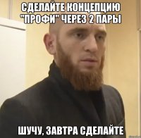 сделайте концепцию "профи" через 2 пары шучу, завтра сделайте