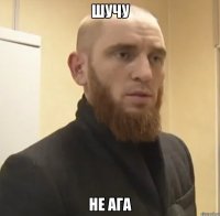 шучу не ага