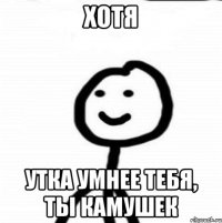 Хотя утка умнее тебя, ты камушек