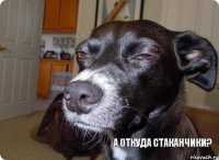  А откуда стаканчики?