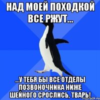 Над моей походкой все ржут... ...у тебя бы все отделы позвоночника ниже шейного срослись, тварь!