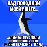 Над походкой моей ржете... ...у тебя бы все отделы позвоночника ниже шейного срослись, тварь!