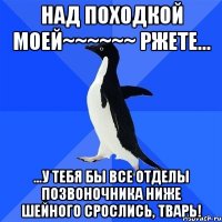 Над походкой моей~~~~~~ ржете... ...у тебя бы все отделы позвоночника ниже шейного срослись, тварь!