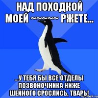 Над походкой моей ~~~~~ ржете... ...у тебя бы все отделы позвоночника ниже шейного срослись, тварь!